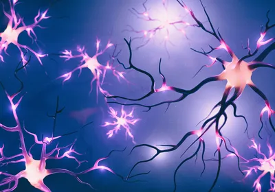 Conceptual 3D image of glowing neurons on a dark background depicting electrical activity and synaptic connections.
